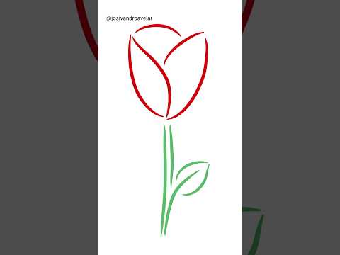 #criatividade - traços de uma rosa