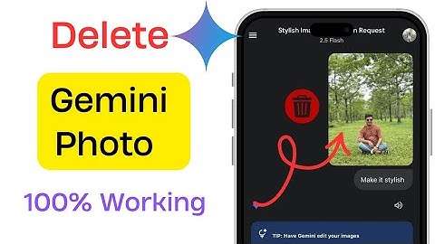 How To Delete Gemini Photo | Delete Photos From Gemini | Gemini Delete Photo History 