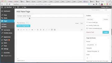 CodeCanyon, DZS ZoomFolio WordPress Portfolio - Install Sample Data in One Click
