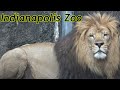 Indianapolis Zoo Tour & Review with The Legend
