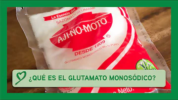 ¿Qué salsa contiene glutamato monosódico?