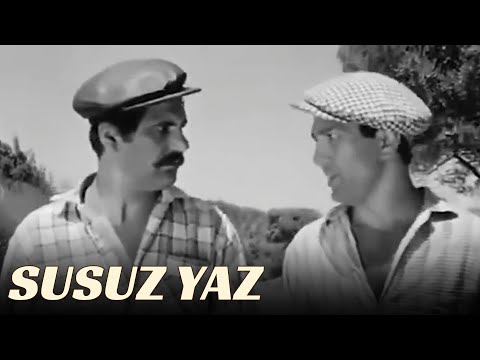 Suçu Üzerine Al | Susuz Yaz