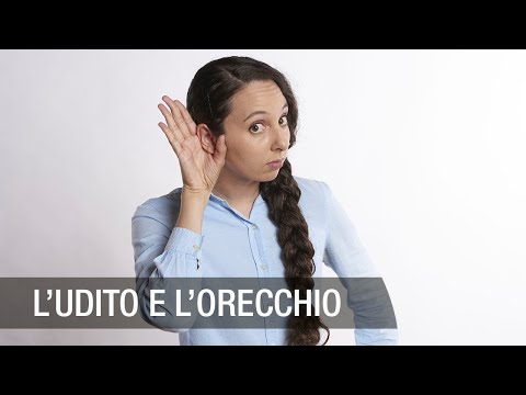 L&rsquo;udito e l&rsquo;orecchio