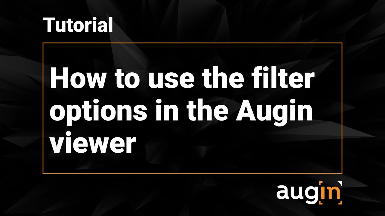 How to use the filter options in the Augin viewer - YouTube