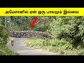       why amazon river have no bridges  tamil wonders