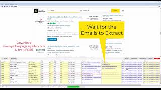 Yellow Pages Scraper 100% Working Method 2024