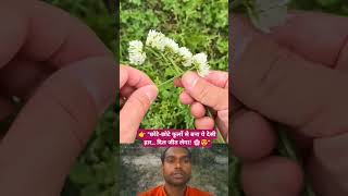 👉 “देसी जुगाड़ से बना खूबसूरत फूलों का हार 🌼 | Amazing Handmade Art” #shorts #ytshorts #shortsfeed