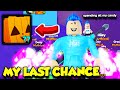 This Is My LAST CHANCE To Get A HUGE PUMPKIN CAT In Pet Simulator X!! (Roblox)