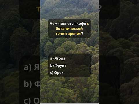 Мгновенный тест 🧠 Сколько вопросов успеешь ответить? #интересно #факты