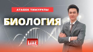видео: ҰБТ-ға дайындық. Биология. Грам оң және грам теріс бактерияларды зерттеу. картинка: ҰБТ-ға дайындық. Биология. Грам оң және грам теріс бактерияларды зерттеу.