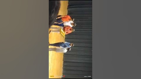 Great Entry Our Gurudev - Mr. Bikash Ghosh #bikashghosh #smartvalue #smartvaluelimited