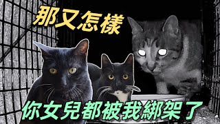 與高智商流浪貓媽鬥智60天最後人類拱手認輸喊祖宗李喜猫