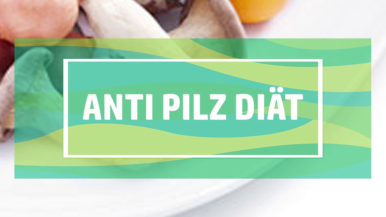 Pilzdiät Rezepte
