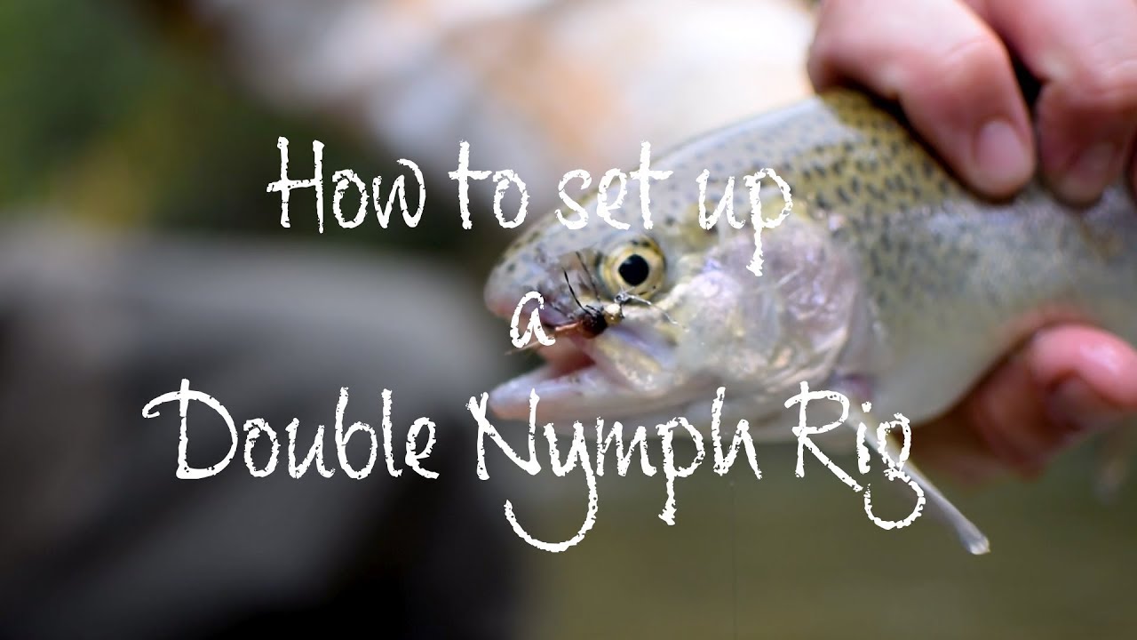 Educated Angler - The Double Nymph Rig 