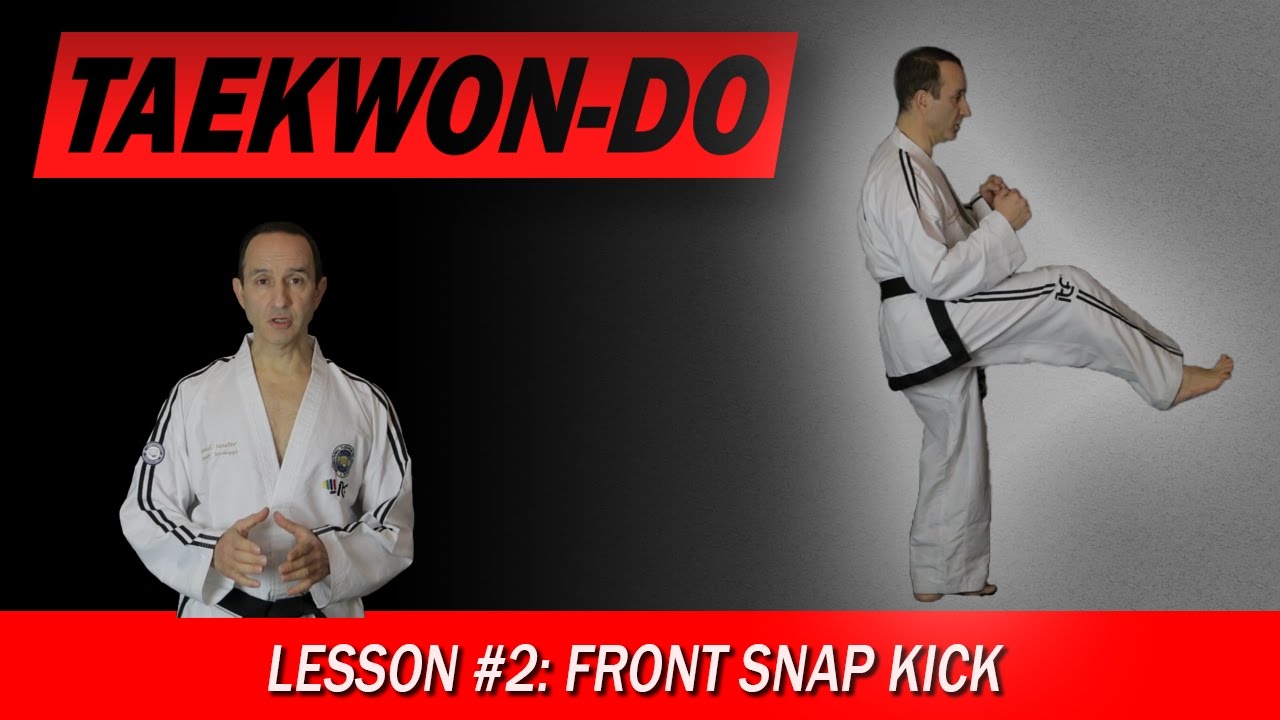 taekwondo front snap kick - Google Search