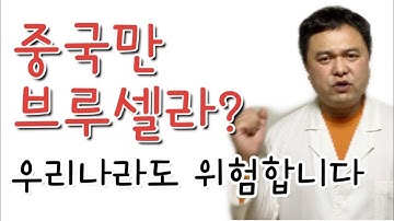 중국 브루셀라 비상 우리나라도 안전하지 않다 브루셀라에 걸리면 어떻게 될까