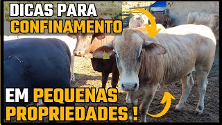 DICAS PARA UM CONFINAMENTO EM PEQUENAS PROPRIEDADES !!