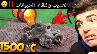 شخص اجنبي مجنون ينتقم من الحيوانات #بلال_رياكشن !!؟