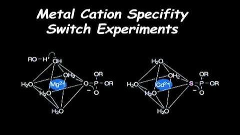 Group I Intron Splicing (part 2)