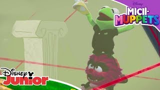 Kermit Îi Pierde Pălăria Lui Fozzie Micii Muppets Disney Junior România