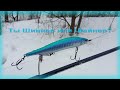 FishComm Shop. Kosadaka Shinner XS 115SP. Ты Шиннер или Шайнер?