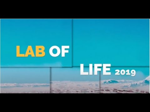 Lab of life Testimonials