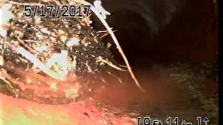 greenview at chestnut run - part 12