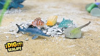 I Dig It! Sealife - Ocean Life