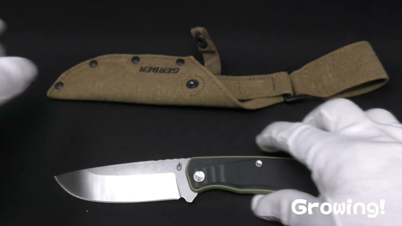 GERBER【ガーバー】□ ダウンウインド ドロップポイント【ブラック 