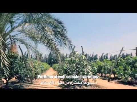 المهندس شريف عبد الرازق يقدم نموذج لمزرعة ناجحة ومتميزة قام بالاشراف عليها لعشر سنوات