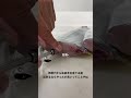 神経の穴からも血抜き？ vol.573