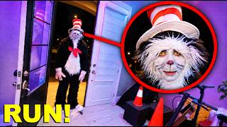 there is something VERY WRONG with this CAT IN THE HAT!! *he FOLLOWED me*