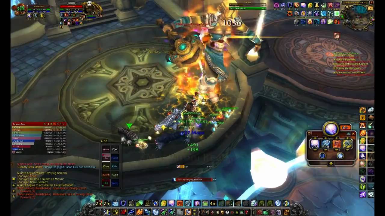 Auriayan (10 man) - Crazy Cat Lady Achievement - Enh Shaman PoV - HD