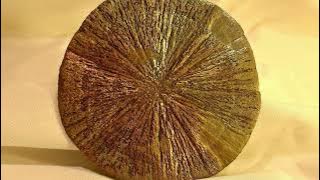 Download lagu Complex Life May Have Appeared on Earth More Than Once