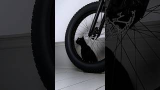 Download Lagu E-Bike ASMR ⚡ MP3 Download Lagu E-Bike ASMR ⚡ MP3