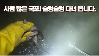 4월 26일 해루일기 낙지 보다 많은 사람