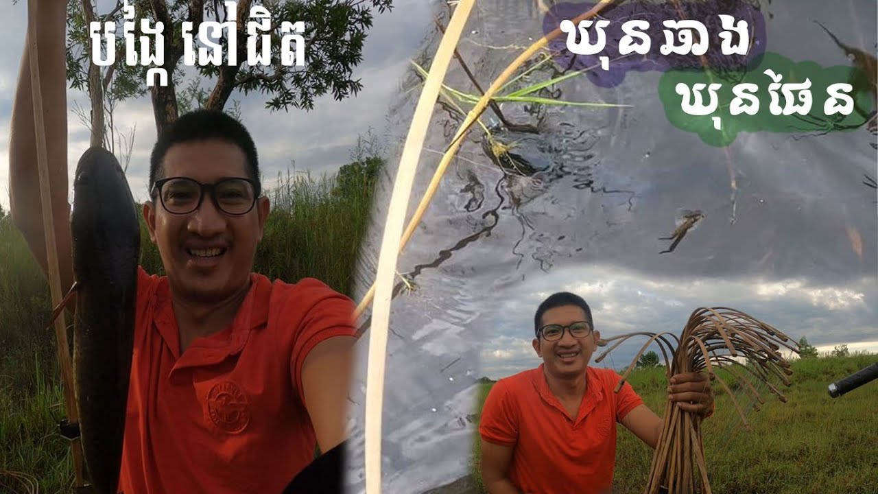 ដាក់បង្កៃមានទាំងត្រីមានទាំងឈ្លើងឃុនឆាងឃុនផែន #kanpisith