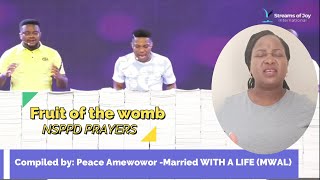 Prayers for fruit of the womb (NSPPD- Pastor Jerry Eze)