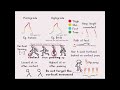 Walk Cycle Tutorial for Bipeds & Quadrupeds ๐ฅ