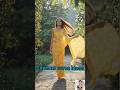 Beat the heat in style l Stunning summer saree collection l AI Runway