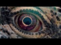 Voyage of Time (Trailer CPH:DOX 2017)