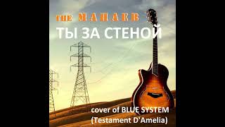 the Манаев - Ты За Стеной (cover of Blue System, &quot;Testament D&#39;Amelia&quot;)