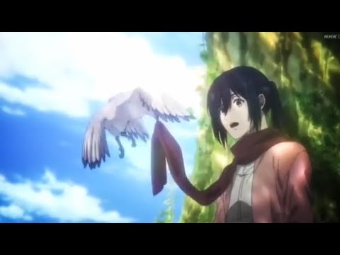 Mikasa Grasps Her Scarf Solemnly in New Attack on Titan Final