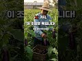 가지가 몸에 독이 되는 순간!! 이 음식들과 같이 드시지 마세요