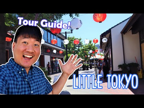 Little Tokyo Restaurant - LITTLE TOKYO Walking Tour | Best Places to Eat in Little Tokyo