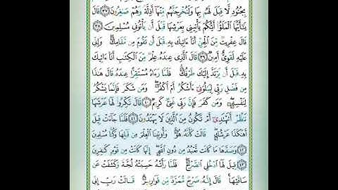 سورة النمل الاية 40/43 بصوت د.ايمن سويد