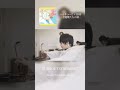 「ハイキュー!! × BOS - 主題歌たちの宴 -」MV撮影の裏側を公開中