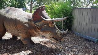 Dinos at the Zoo - Dino Lab @ Melbourne Zoo - Saturday 30th January 2021