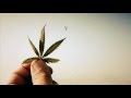 Dublicator - Message From Zion _  Deep Routes