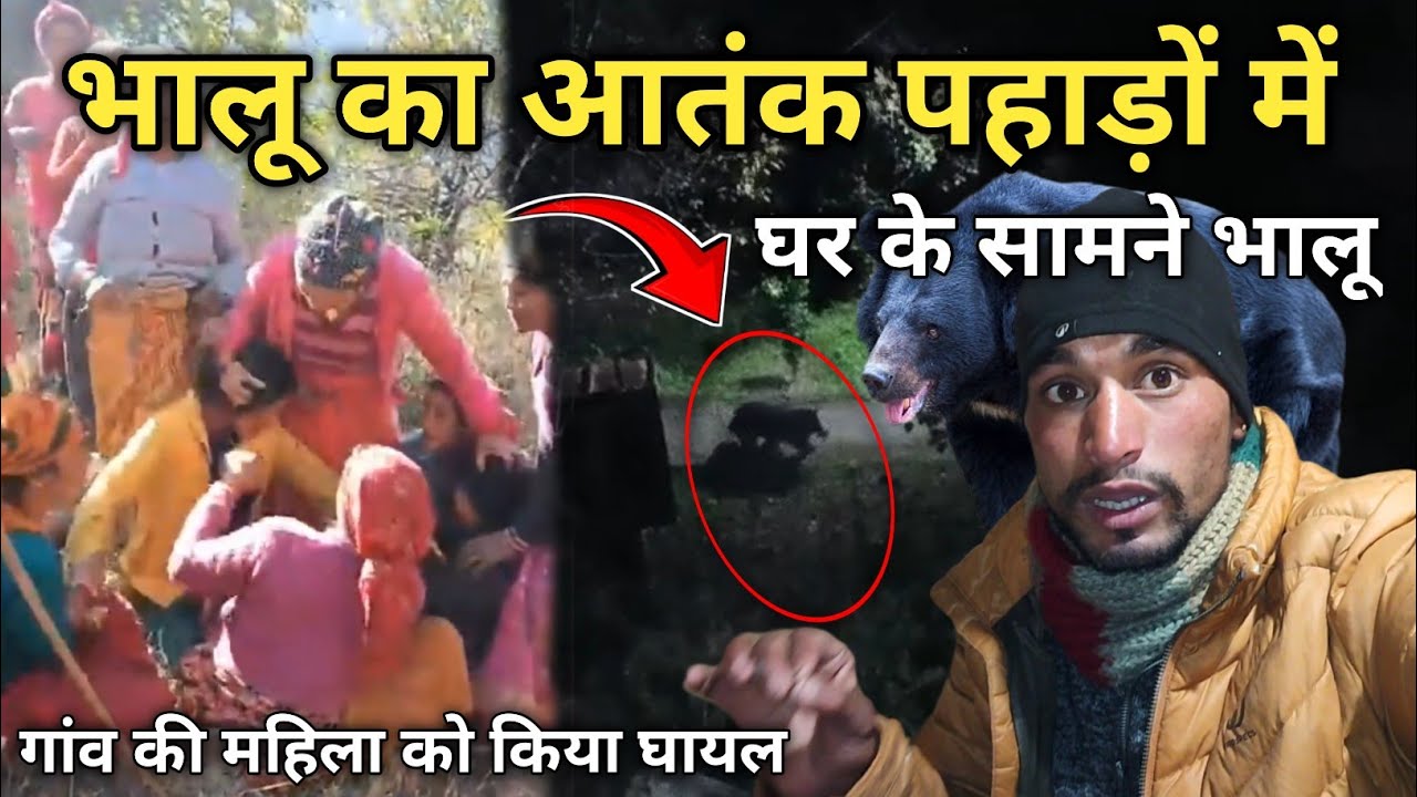 गांव की महिला को किया घायल भालू ने😭😯Pahado Mein Bhalu Ka Aatank || Pahadi Lifestyle Vlogs
